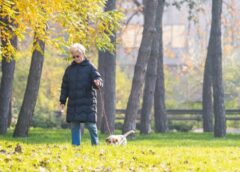 ZPIZ opozarja: zvišanje vdovskih pokojnin lahko ustvari krivice